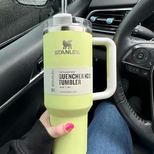 Stanley Quencher Cup in 40oz (target exclusive citrón color)